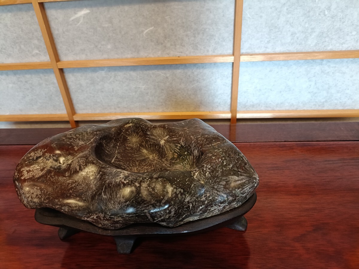 銘【瑞花】〜根尾谷菊花石☆溜まり☆赤母岩☆カラフル花☆芯有 銘【瑞花】〜根尾谷菊花石☆溜まり☆赤母岩☆カラフル花☆芯有