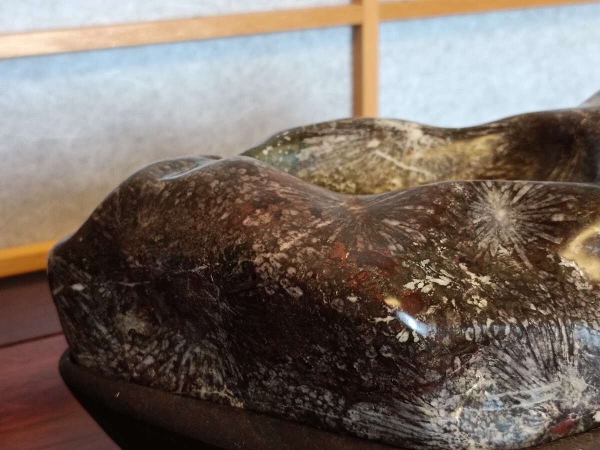 銘【瑞花】〜根尾谷菊花石☆溜まり☆赤母岩☆カラフル花☆芯有 銘【瑞花】〜根尾谷菊花石☆溜まり☆赤母岩☆カラフル花☆芯有