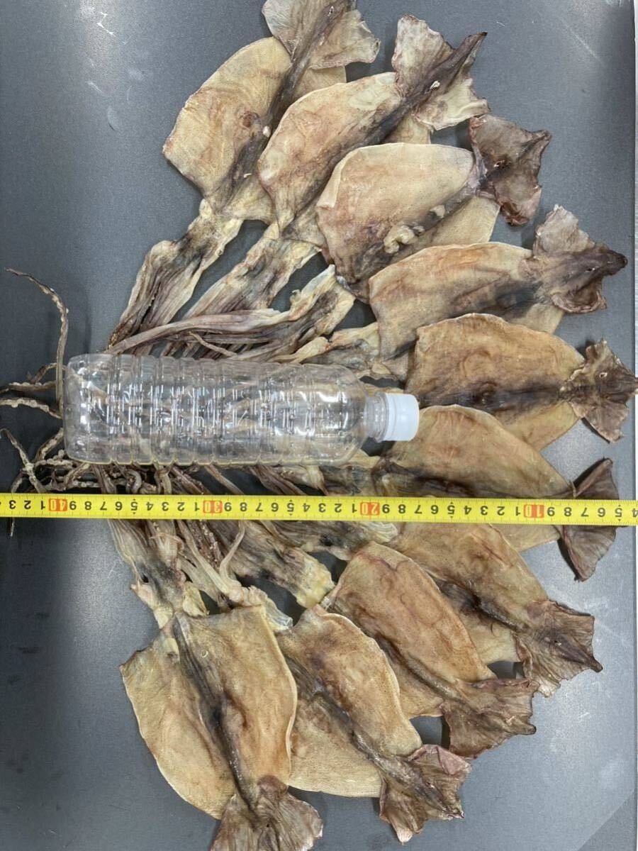 数量限定　10枚入　約300g〜350g 国内産干しスルメイカ　珍味　おつまみ　魚介類　干物　ジャーキー　あたりめ　焼酎　日本酒　ビール　②