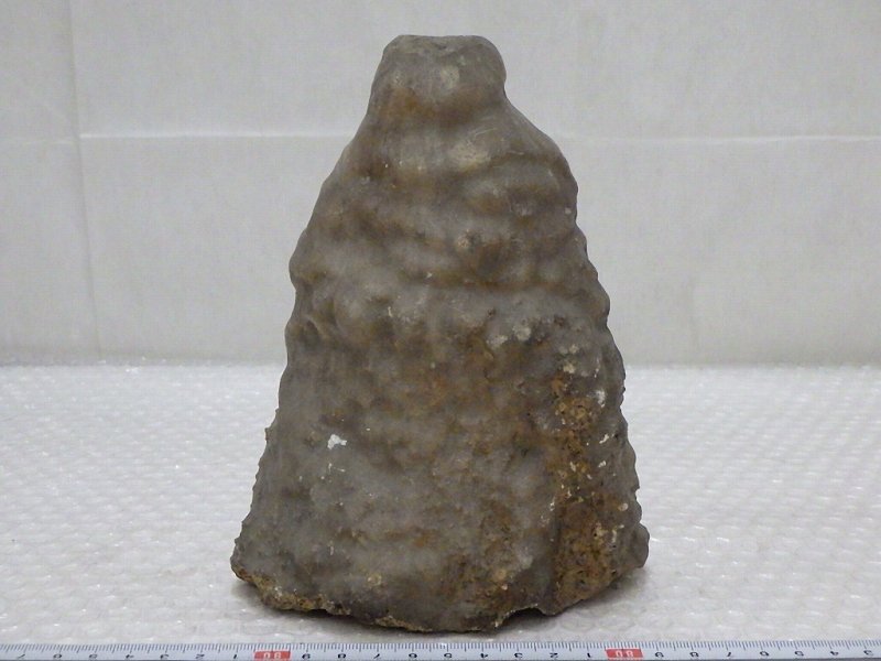 P1857 鍾乳石 石筍 鑑賞石 置物 天然石 2.54kg(岩石、鉱物 P1857 鍾乳石 石筍 鑑賞石 置物 天然石 2.54kg(岩石、鉱物