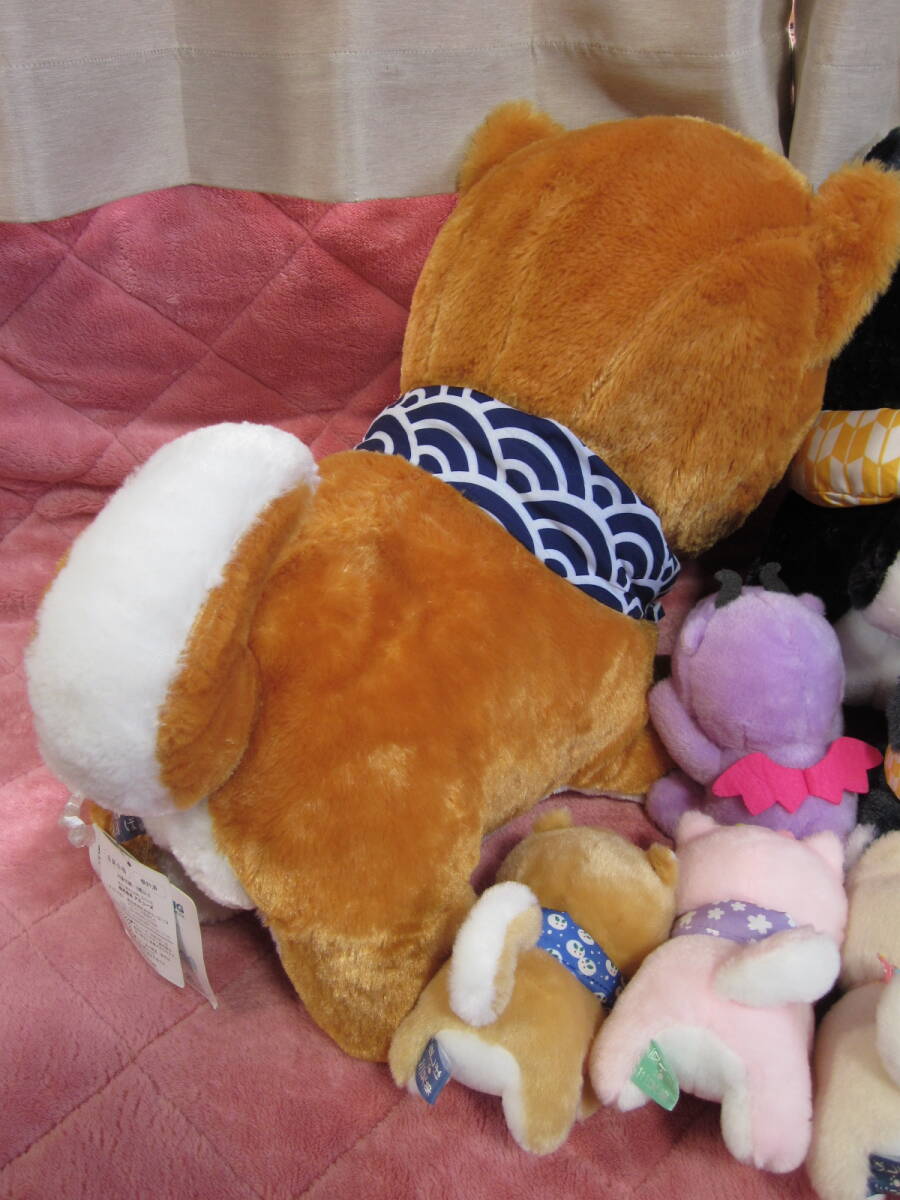 item_image_6
