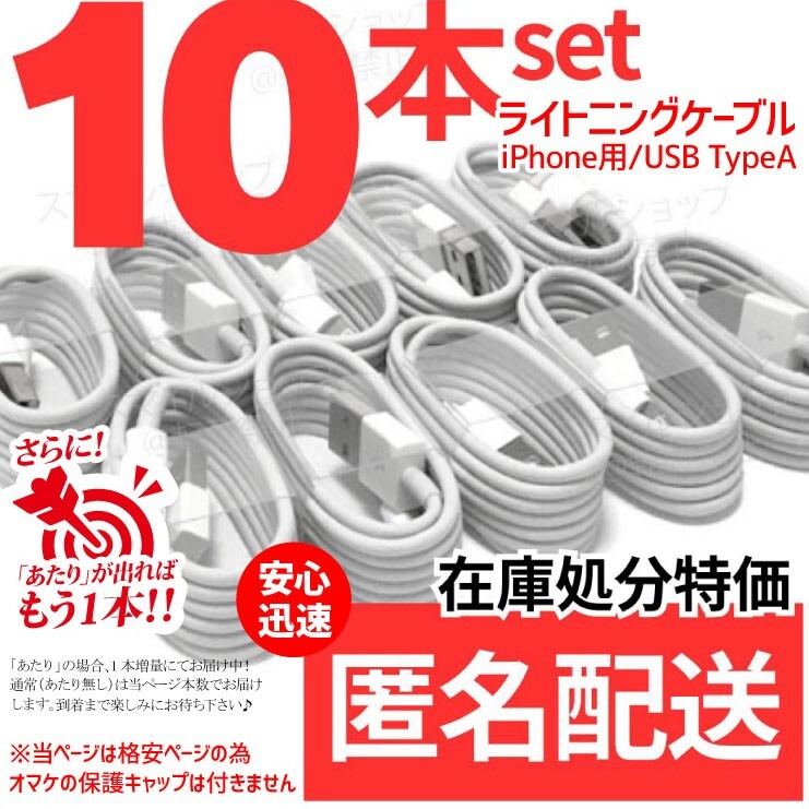1m 10本 iPhone充電器ライトニングケーブル アップルApple純正 1m 10本 iPhone充電器ライトニングケーブル アップルApple純正