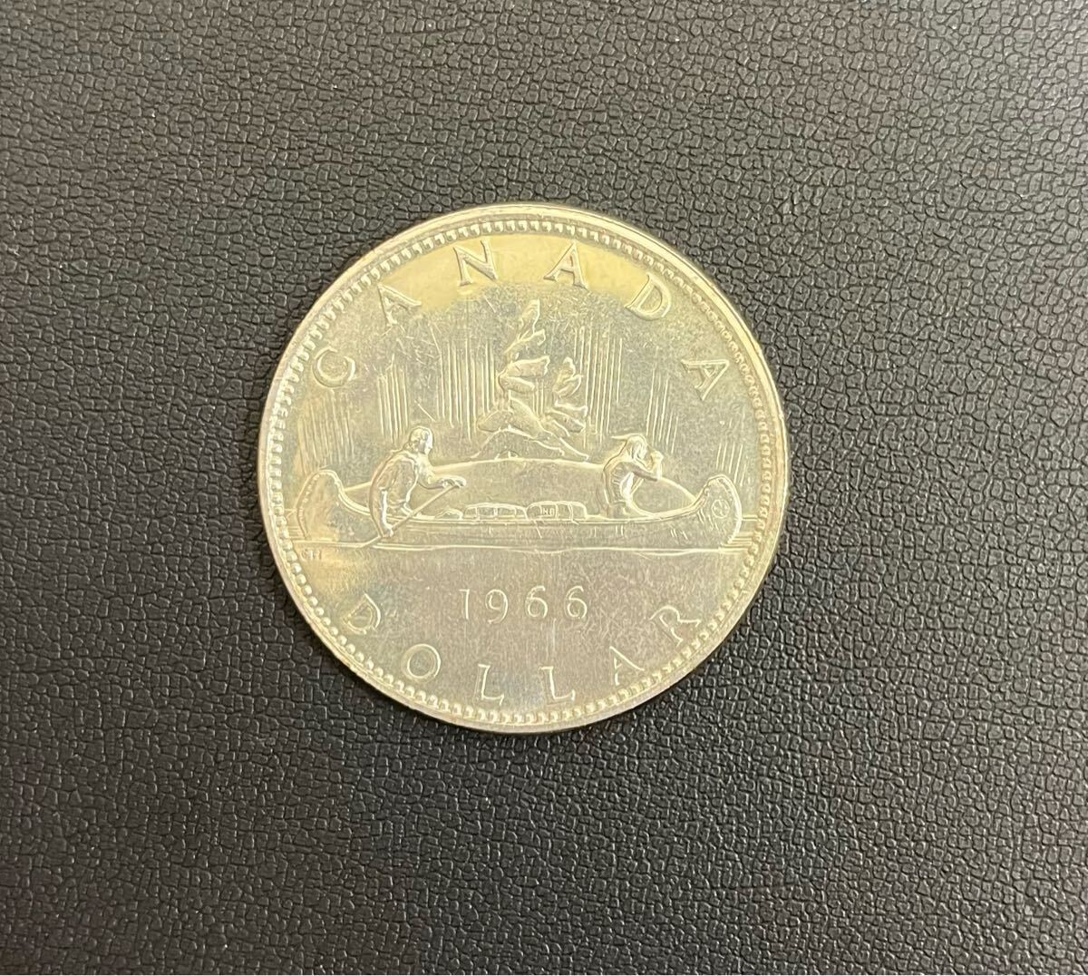2016年 カナダ銀貨「クーガー」純銀 1オンス クリアケース付