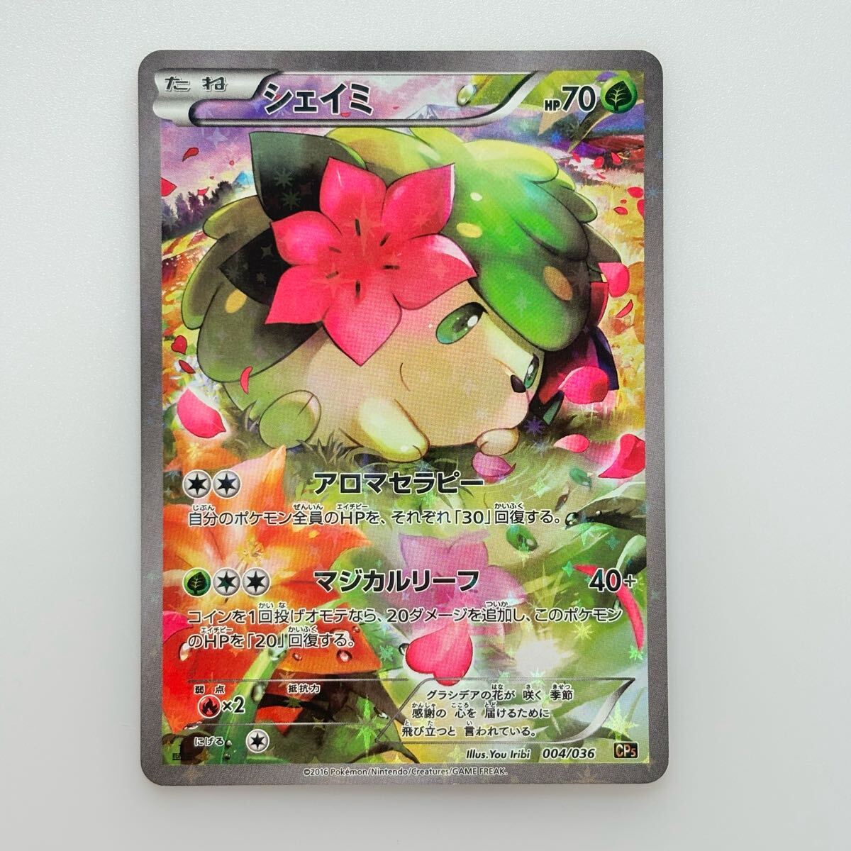 ポケモンカード シェイミ CP5 ブラックキュレム CP2 R 2016年 ポケモンカード シェイミ CP5 ブラックキュレム CP2 R 2016年