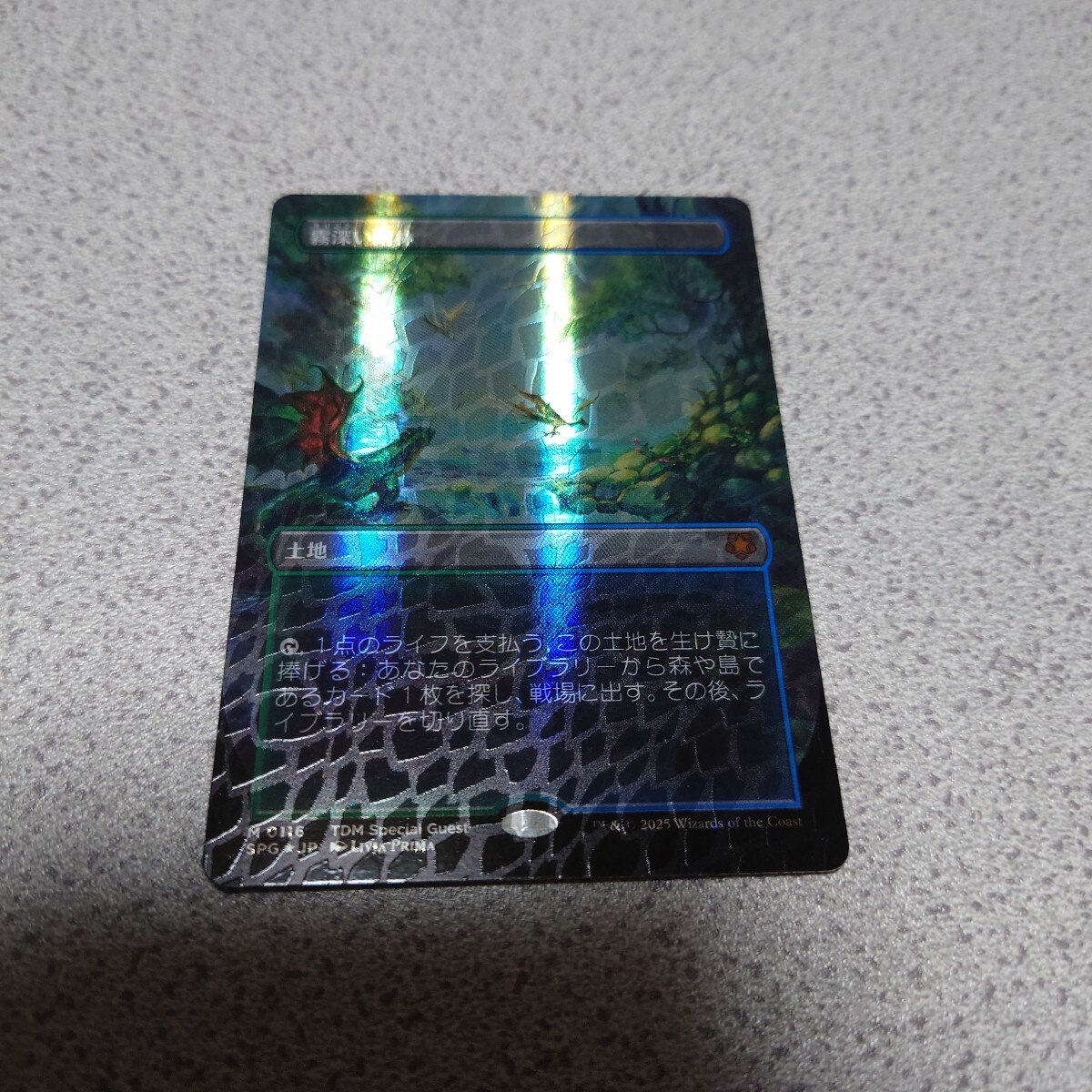 Yahoo!オークション - MTG TDM 霧深い雨林 日本語ドラゴン Yahoo!オークション - MTG TDM 霧深い雨林 日本語ドラゴン