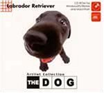 THE DOG ~ LabradorRetriver　(shin