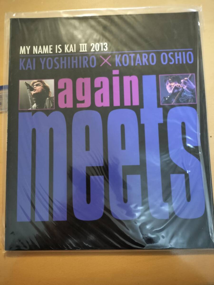 **( ценный ) Kai Yoshihiro концерт Tour брошюра /MY NAME IS KAI Ⅲ 2013 / Kai Yoshihiro × вдавлено хвост ko-ta low (No.5370) **