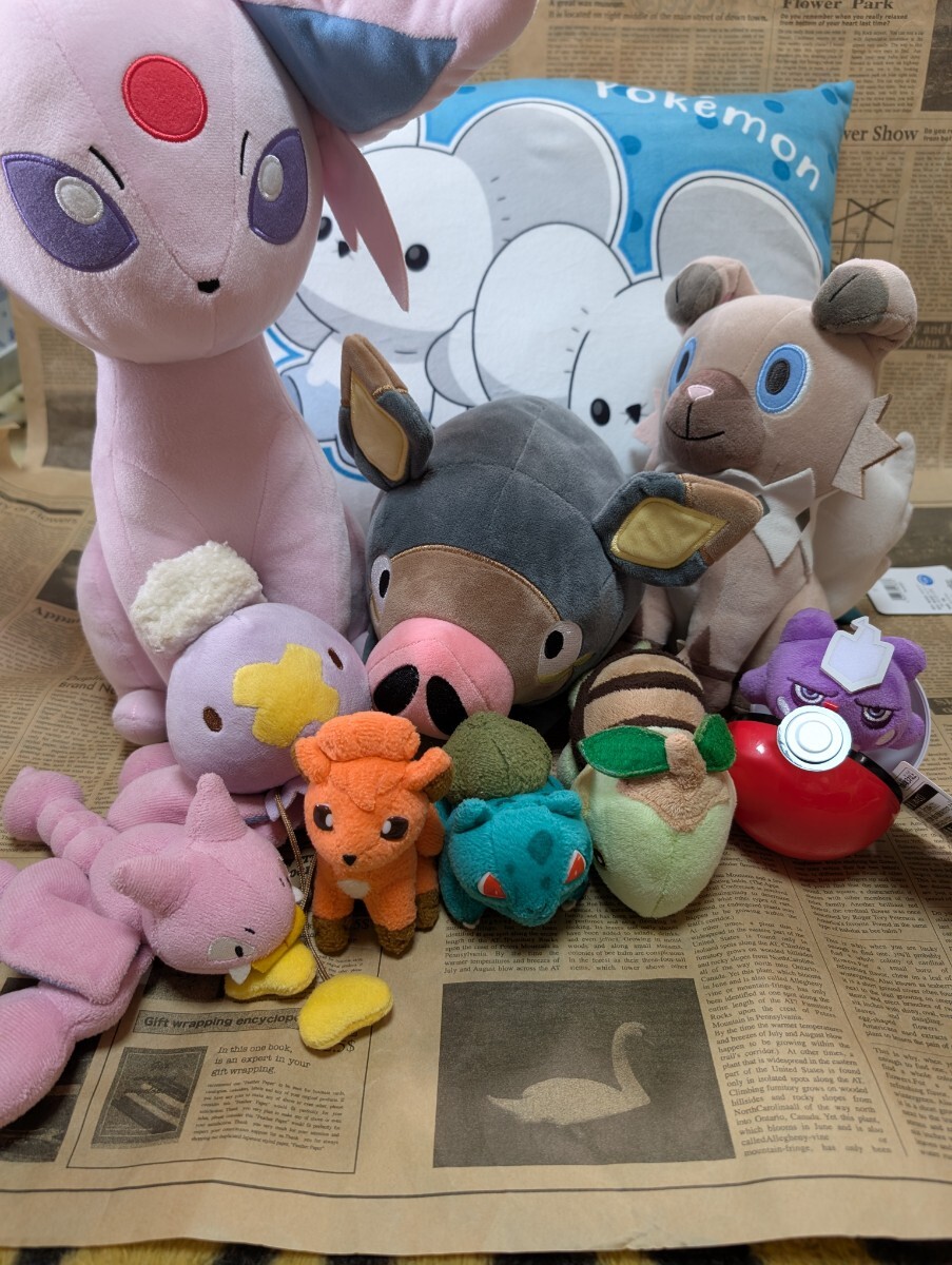 ポケモンぬいぐるみ まとめて(ポケットモンスター)|売買された ポケモンぬいぐるみ まとめて(ポケットモンスター)|売買された