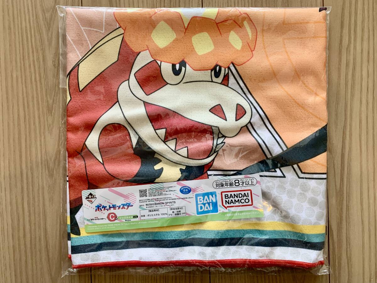 ポケットモンスター 一番くじ アニメ「ポケットモンスター」 C ポケットモンスター 一番くじ アニメ「ポケットモンスター」 C