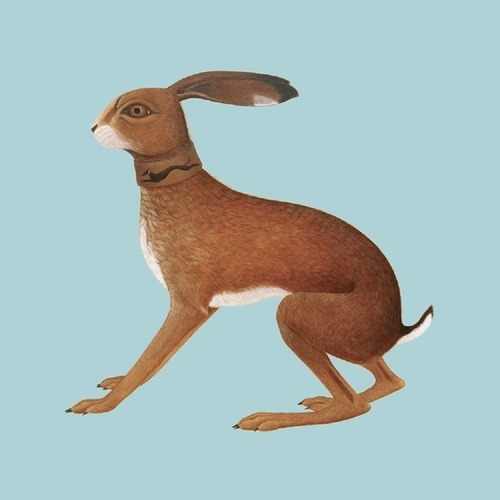 VASHTI BUNYAN / LOOKAFTERING (EXPANDED EDITION) (國內(nèi)流通帯付き仕様) (2LP)