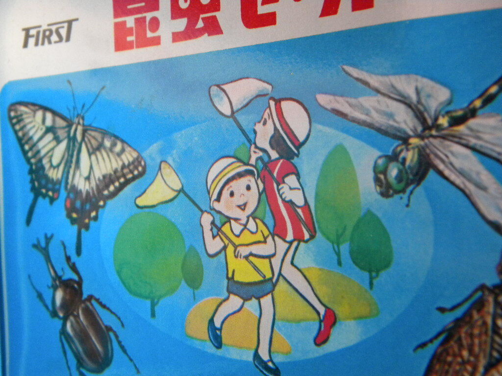 当時物 虫取り 昆虫採取 2セット 標本作成 !! カブトムシ 蝶 当時物 虫取り 昆虫採取 2セット 標本作成 !! カブトムシ 蝶