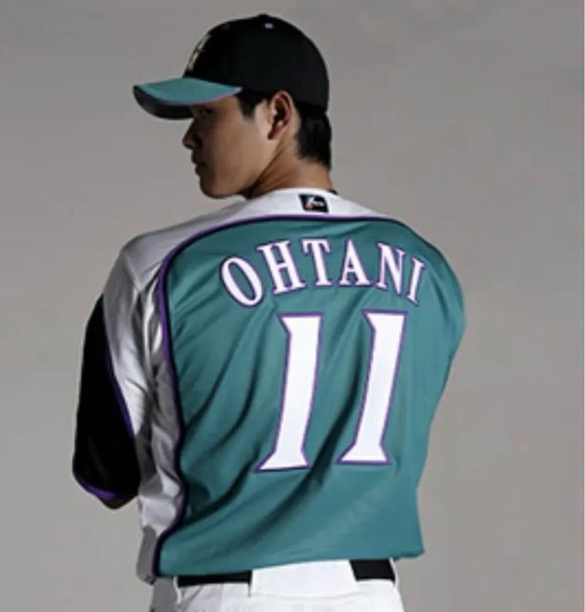 送料無料 即決 北海道日本ハムファイターズ 大谷翔平選手 送料無料 即決 北海道日本ハムファイターズ 大谷翔平選手