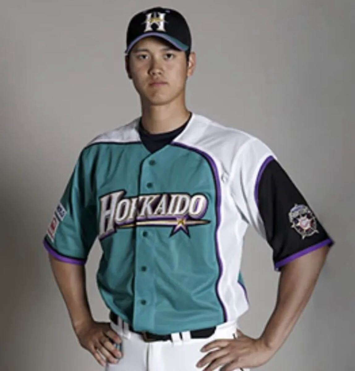送料無料 即決 北海道日本ハムファイターズ 大谷翔平選手 送料無料 即決 北海道日本ハムファイターズ 大谷翔平選手