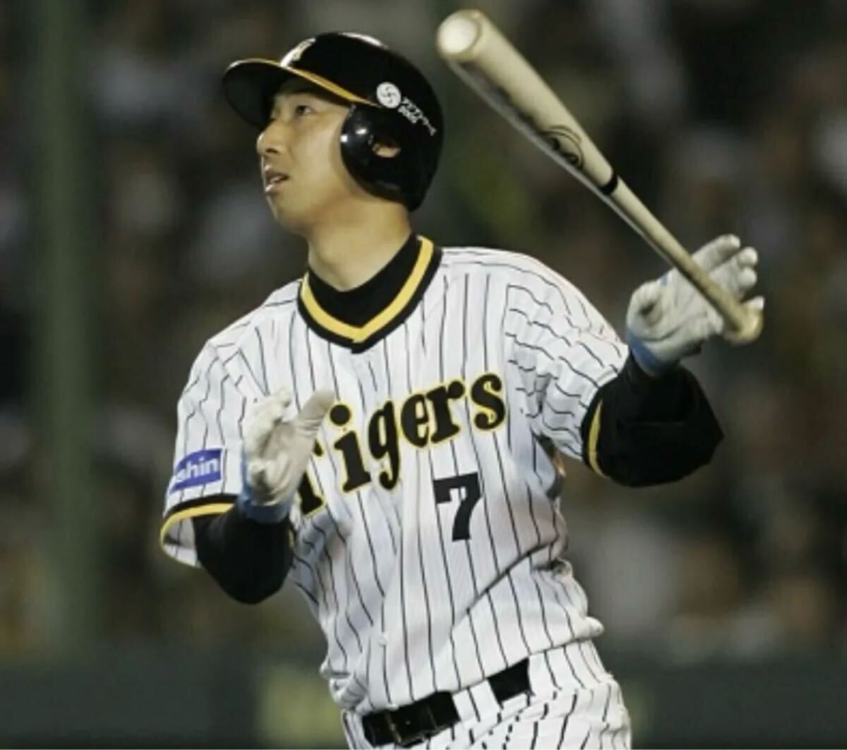 送料無料 即決 阪神タイガース 今岡誠選手ユニフォーム 1979 送料無料 即決 阪神タイガース 今岡誠選手ユニフォーム 1979
