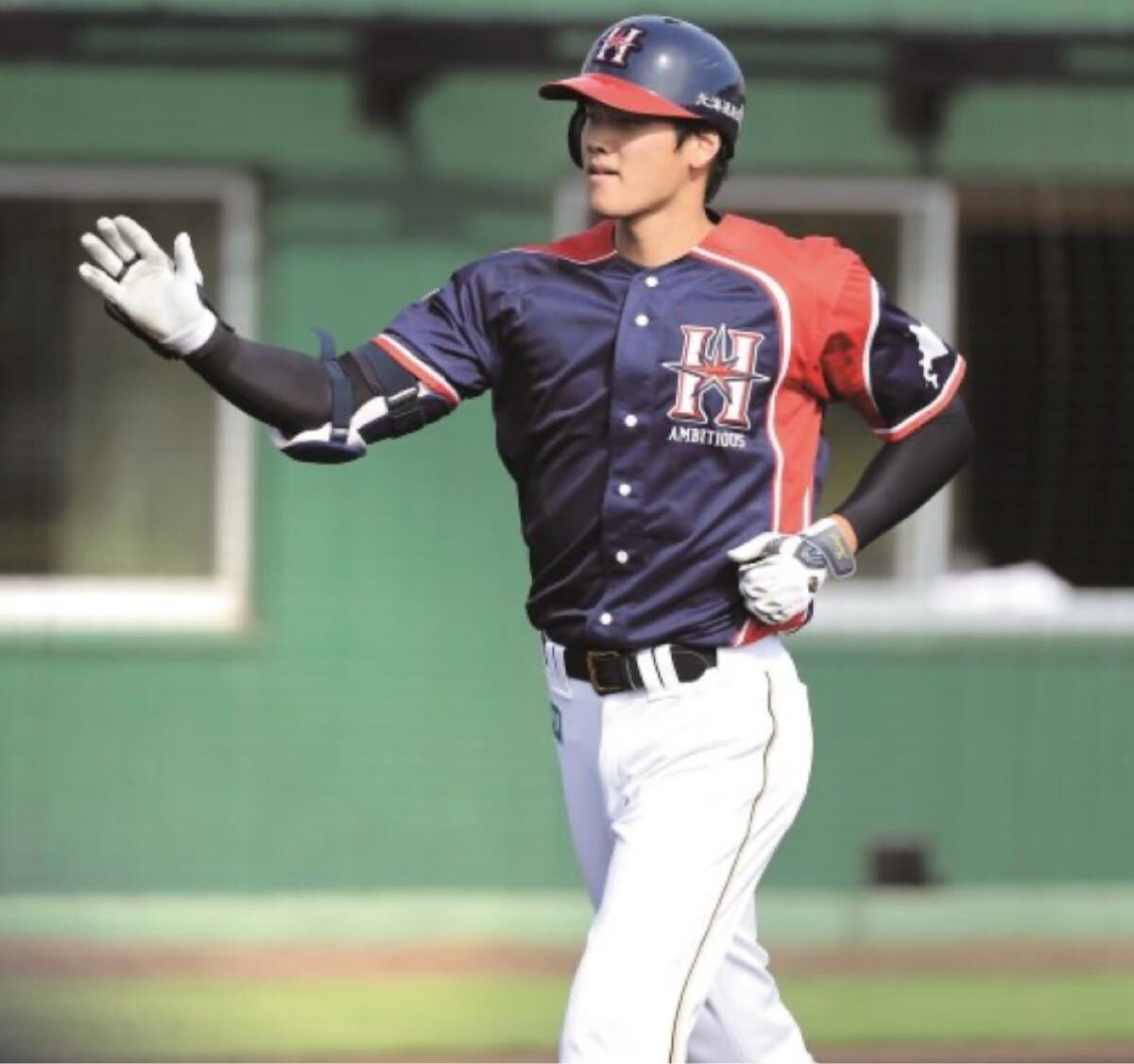 送料無料 即決 北海道日本ハムファイターズ 大谷翔平選手 送料無料 即決 北海道日本ハムファイターズ 大谷翔平選手