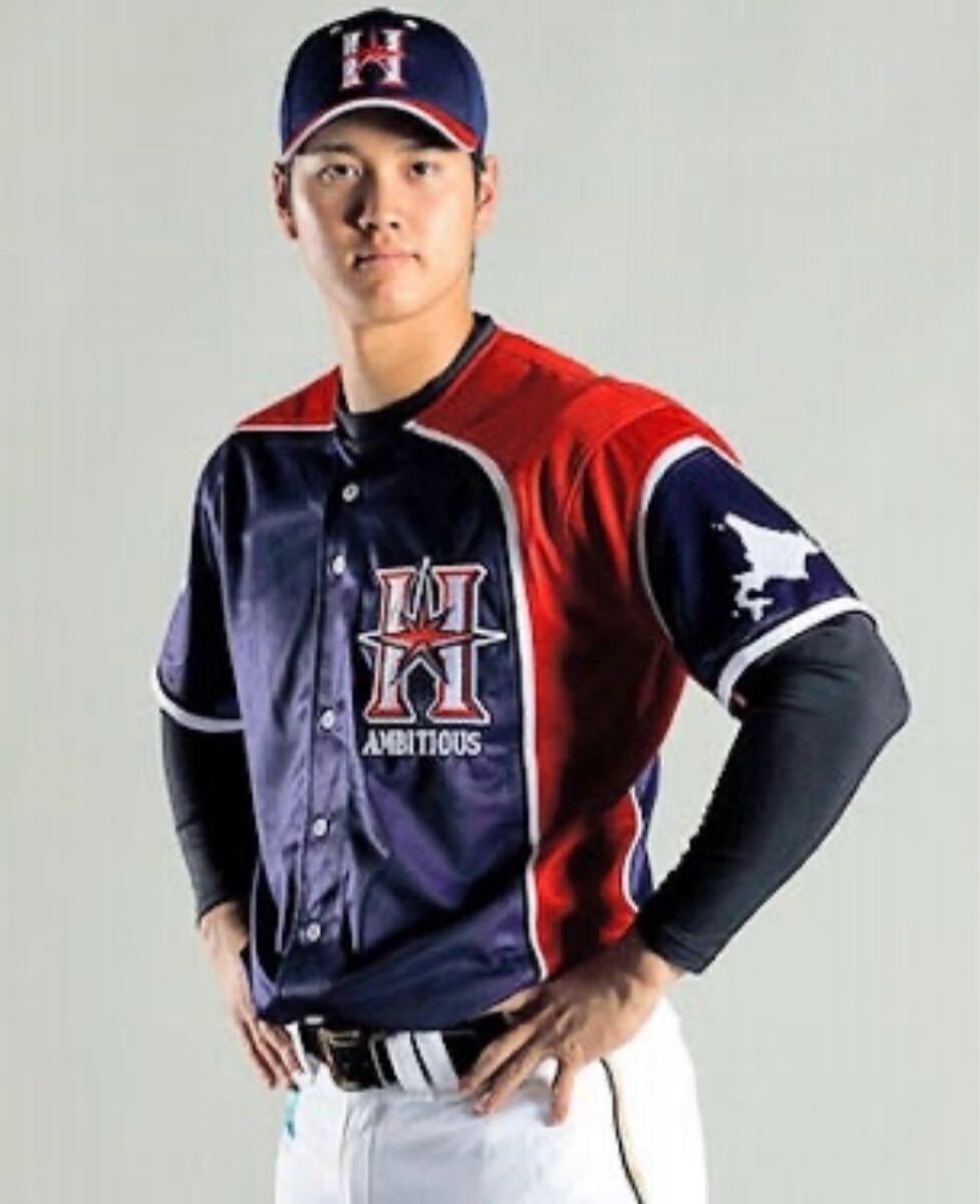 送料無料 即決 北海道日本ハムファイターズ 大谷翔平選手 送料無料 即決 北海道日本ハムファイターズ 大谷翔平選手