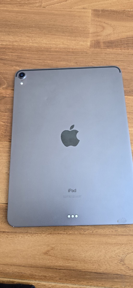 ジャンク 起動しない iPad Pro 11 Wi-Fi 第1世代 スペースグレイ ジャンク 起動しない iPad Pro 11 Wi-Fi 第1世代 スペースグレイ