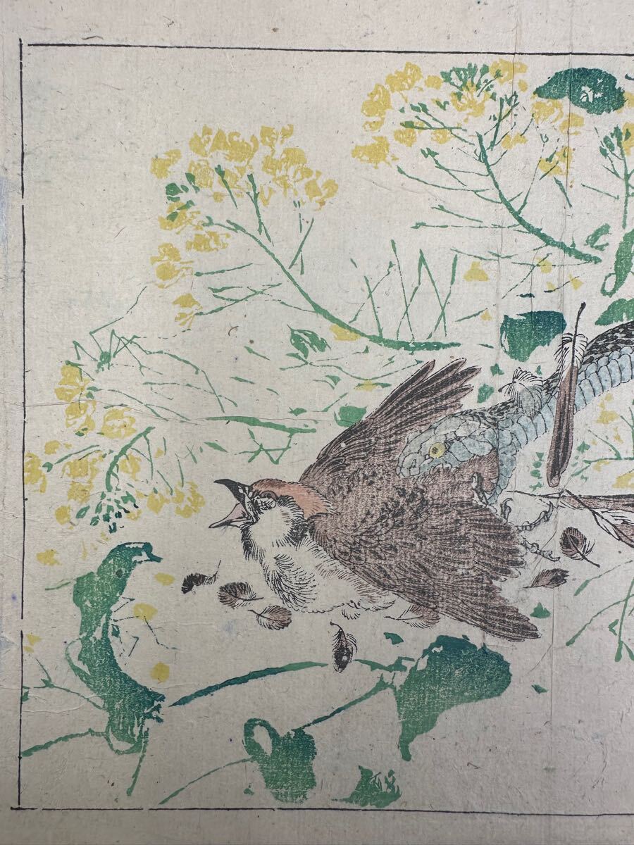 [ подлинный произведение ] Meiji период картина в жанре укиё гравюра на дереве река кастрюля ..[.. приятный ....] средний размер .. сохранение хороший мир книга@ старинная книга 