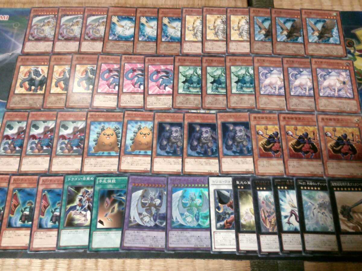引退大量・遊戯王~構築済み! 宝玉獣デッキ! 40枚+8枚!墓地 引退大量・遊戯王~構築済み! 宝玉獣デッキ! 40枚+8枚!墓地