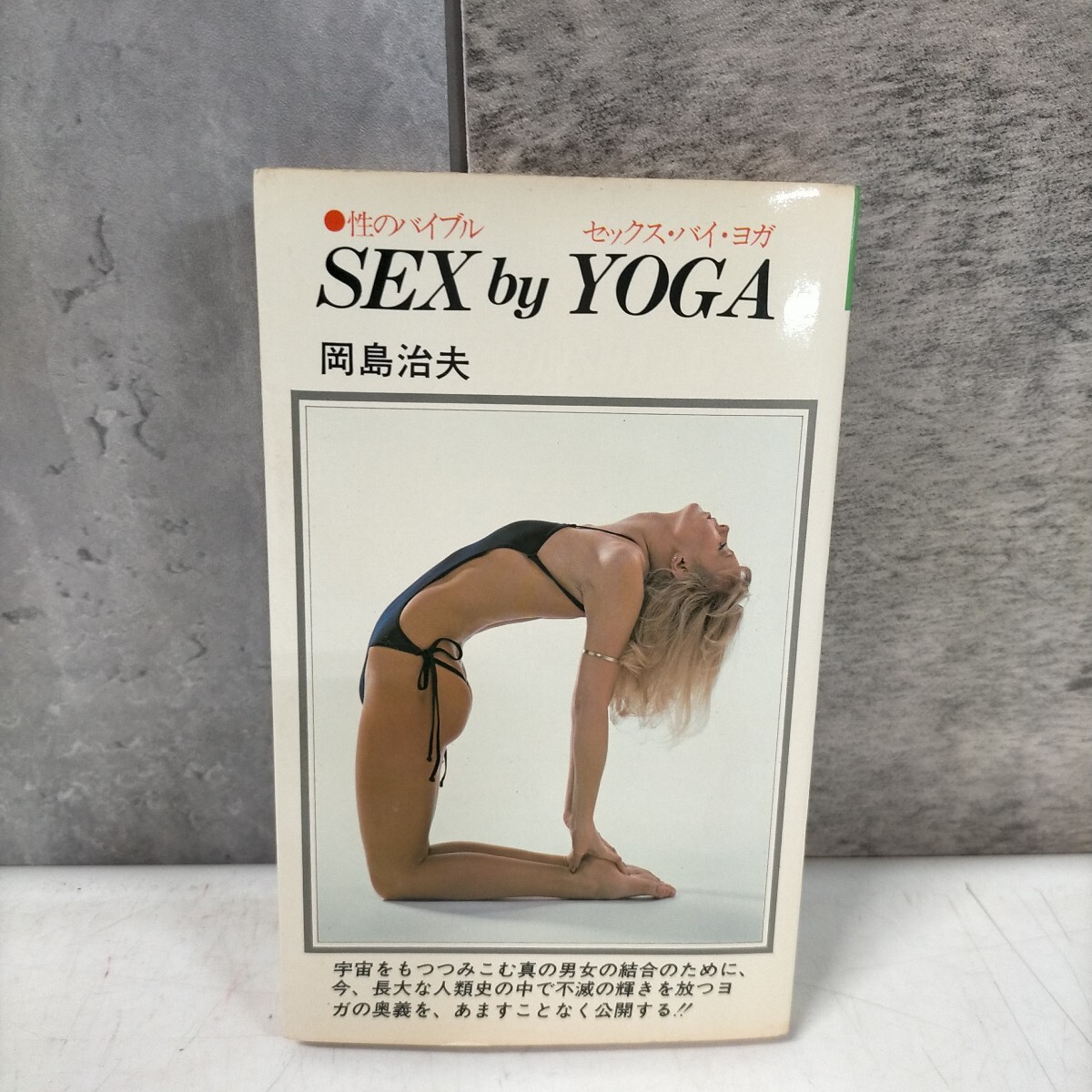 Sex By Yoga セックス・バイ・ヨガ 性のバイブル 岡島治夫(岡島瑞徳) Yahoo!オークション - 性のバイブル SEX by YOGA(セックス・バイ