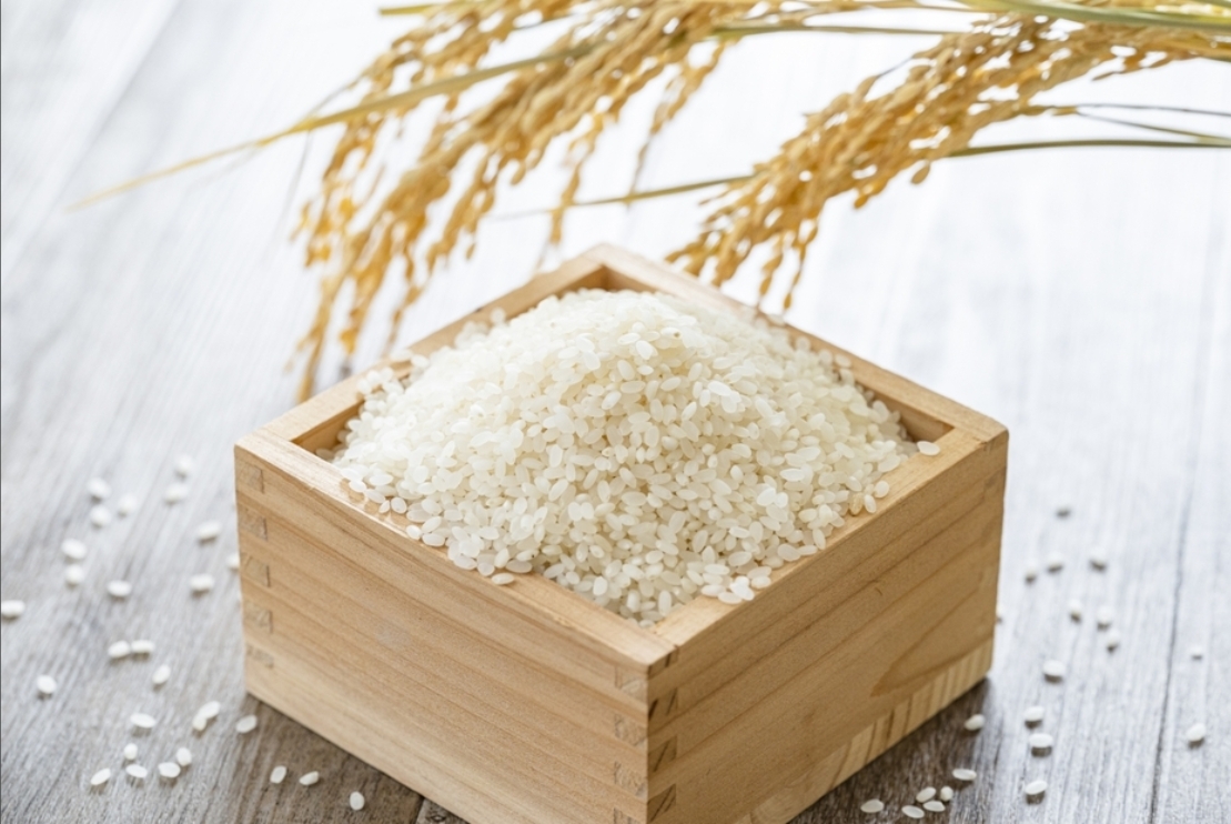ひとめぼれ 白米20Kg(10Kg×2）』令和6年度『掲載写真デザイン