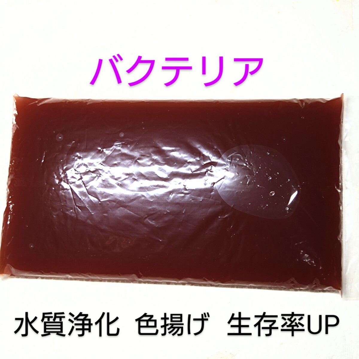 PSB 濃縮 250mlと餌となる ビール酵母 500mlペットボトル5本分10錠のPSB培養(yǎng)set 金魚 メダカ 熱帯魚 錦鯉 ウーパールーパー 培養(yǎng)方法付 月