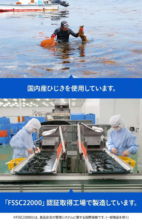ひじきちりめん 50g×4袋 ソフトふりかけ 國內(nèi)産ひじき使用 九州ひじき屋 （メール便）ヤマチュウ ちりめんじゃこ ひじきふりかけ