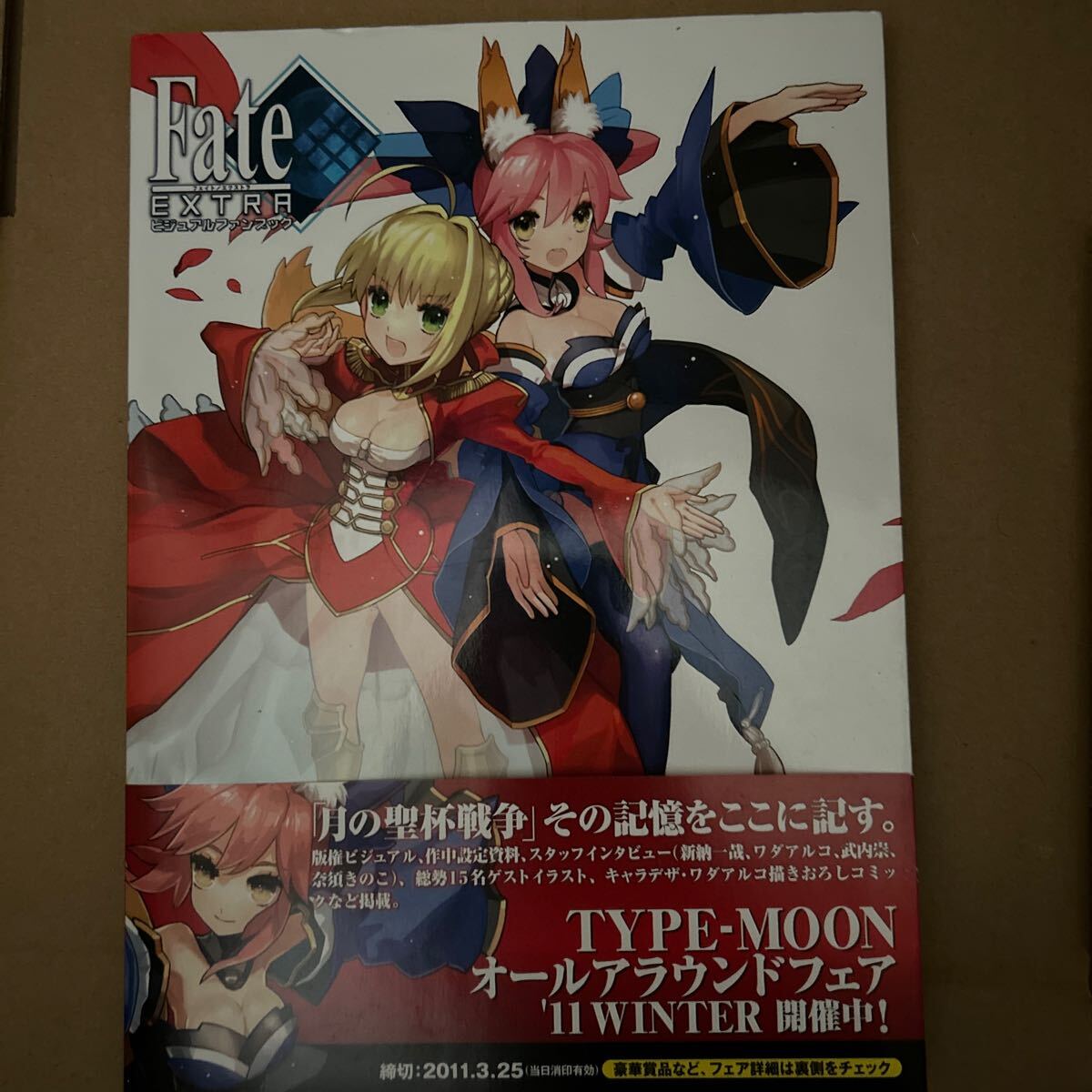 フェイト／エクストラビジュアルファンブック コンプティーク／編　fate extra ワダアルコ　奈須きのこ　TYPE-MOON_画像1