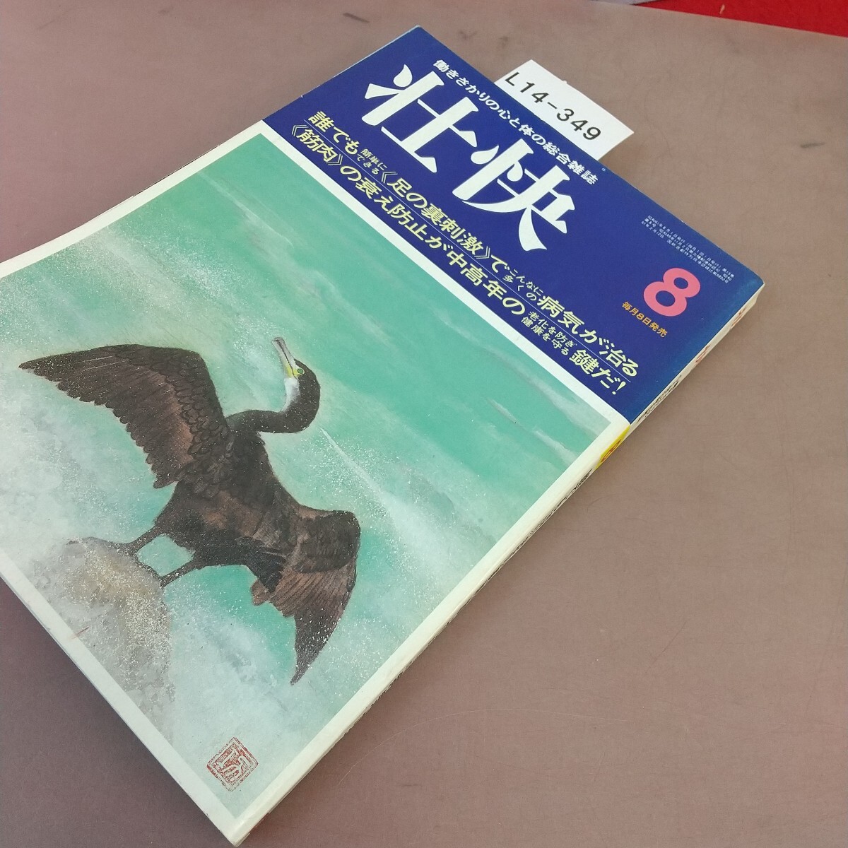 L14-349........ сердце . body. обобщенный журнал 1986.8 каждый простой возможно ( пара. обратная сторона . ультра ). такой . много. болезнь .... загрязнения есть