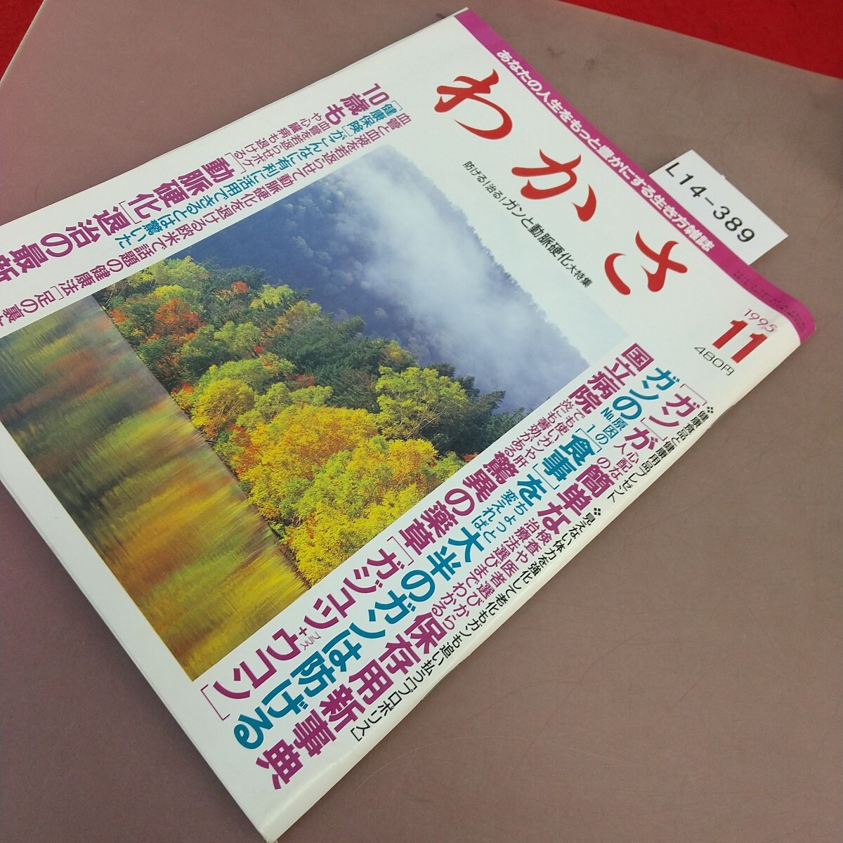 L14-389. зонт 1995.11. зонт выпускать