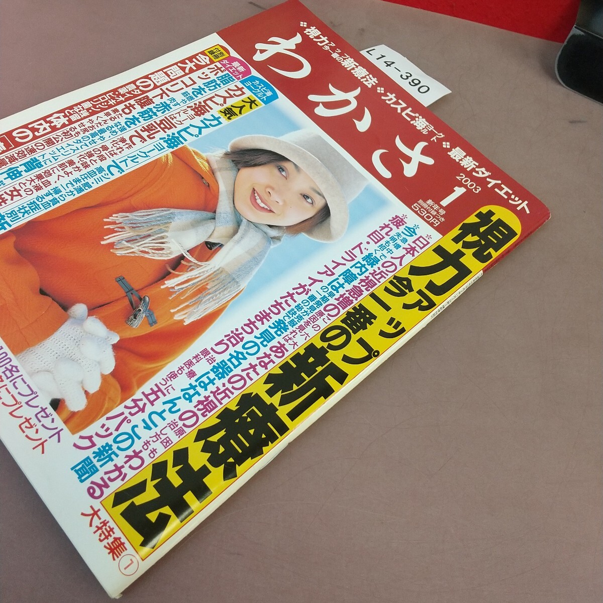 L14-390. зонт 2003.1. зонт выпускать 