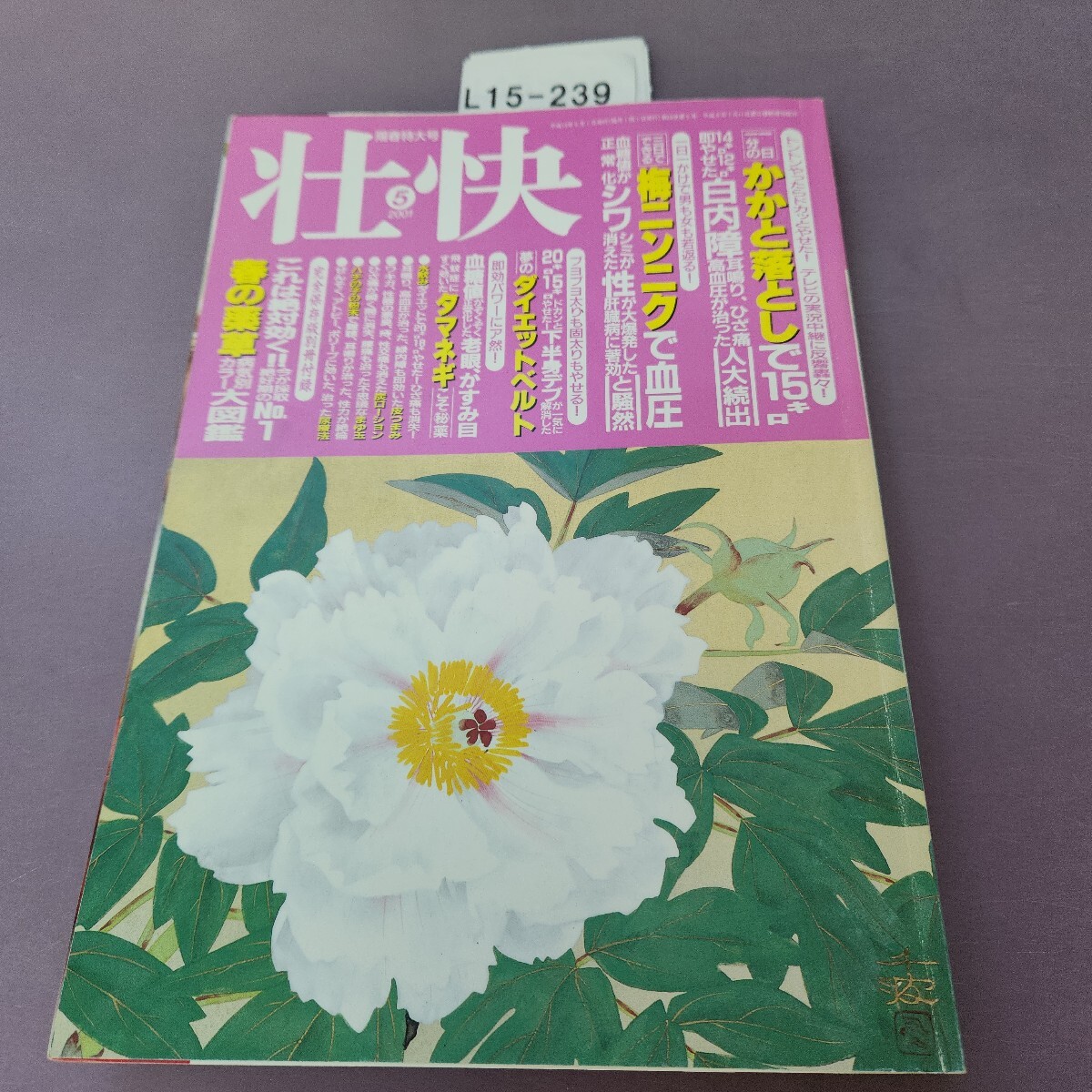 L15-239..5 тонн тонн ....doka....! 2001 L15-239..5 тонн тонн ....doka....! 2001