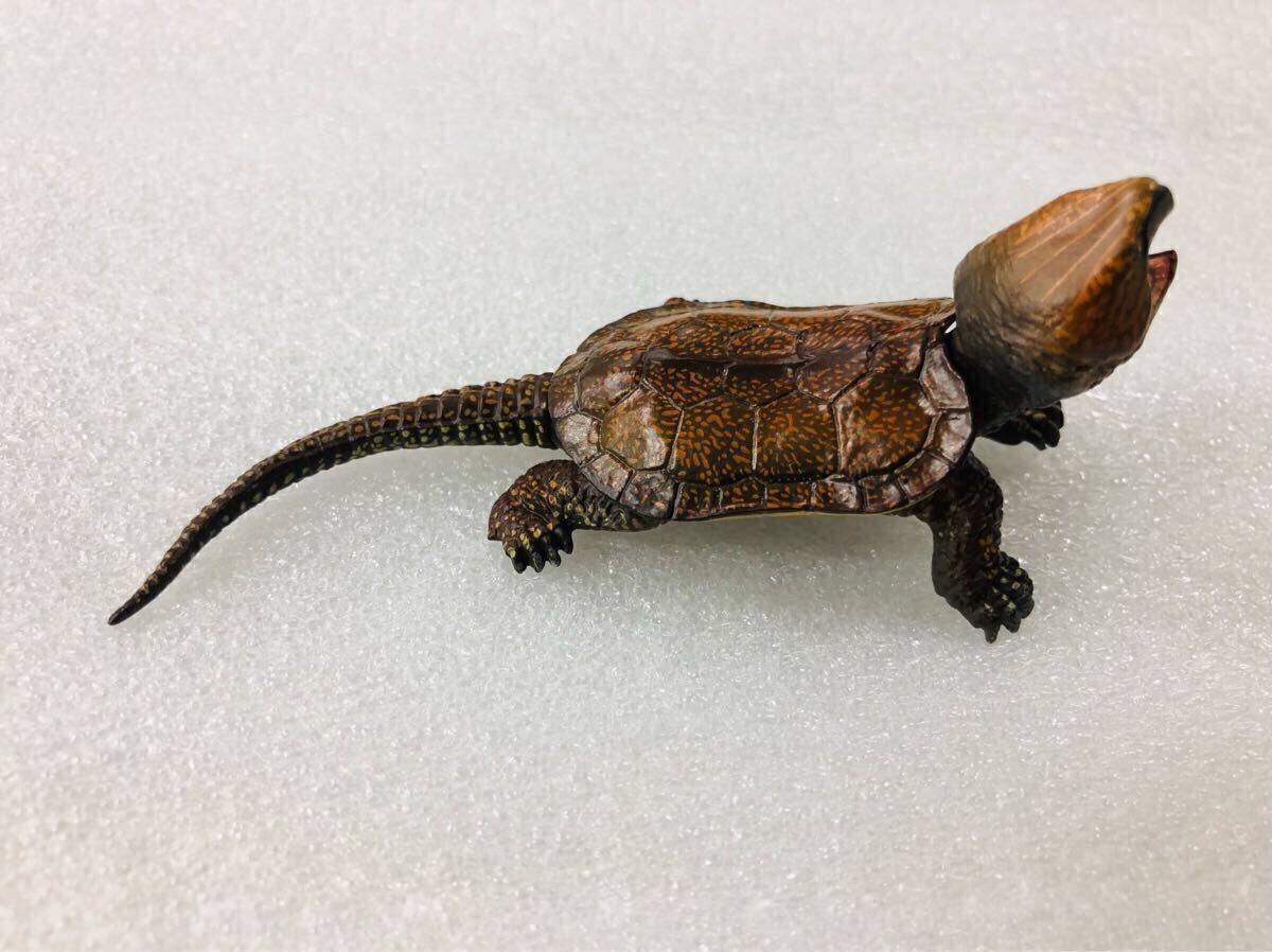 ☆即決☆チョコQ☆日本の動物11☆11弾☆オオアタマガメ a ☆即決☆チョコQ☆日本の動物11☆11弾☆オオアタマガメ a