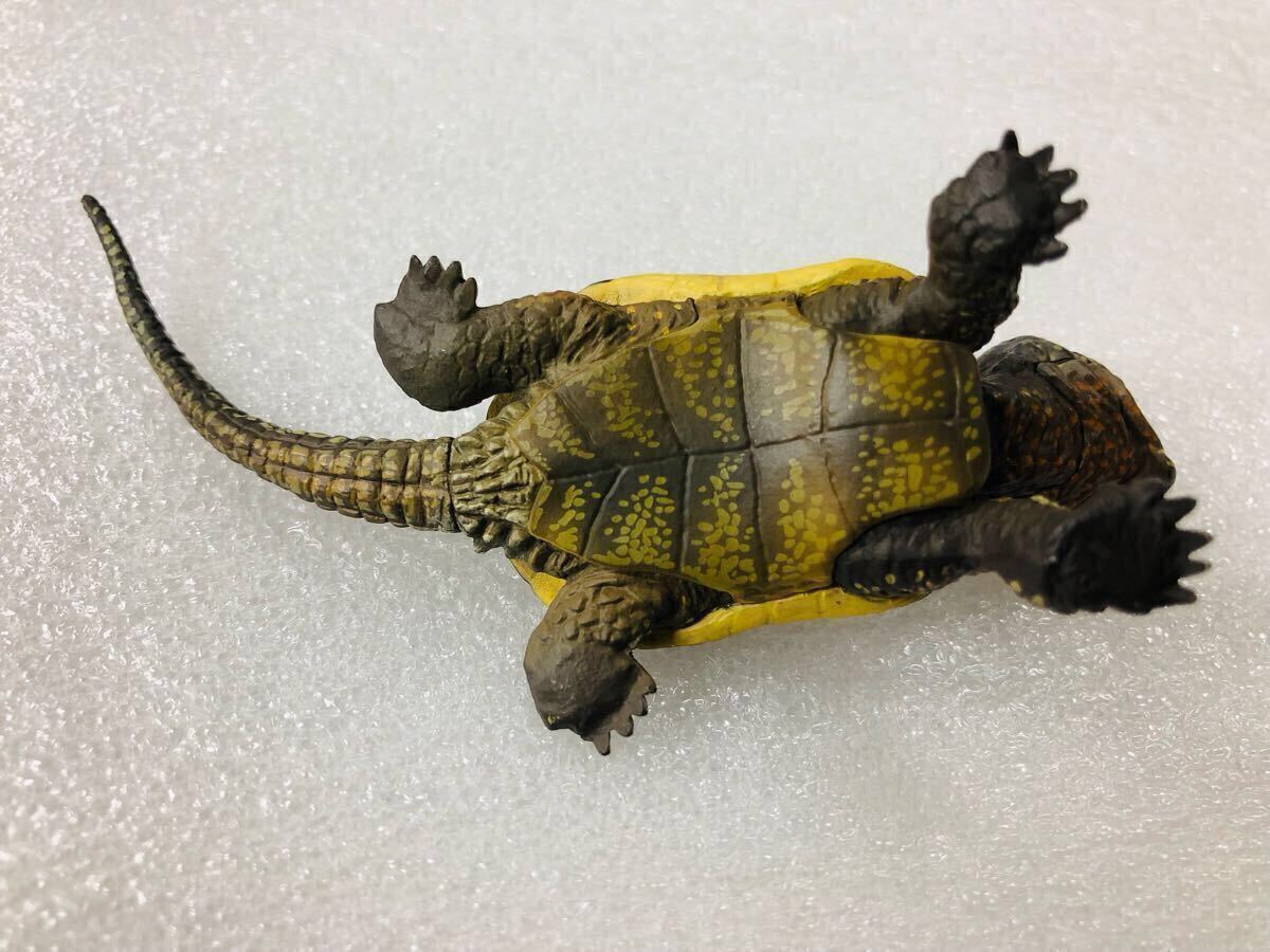 ☆即決☆チョコQ☆日本の動物11☆11弾☆オオアタマガメ a ☆即決☆チョコQ☆日本の動物11☆11弾☆オオアタマガメ a