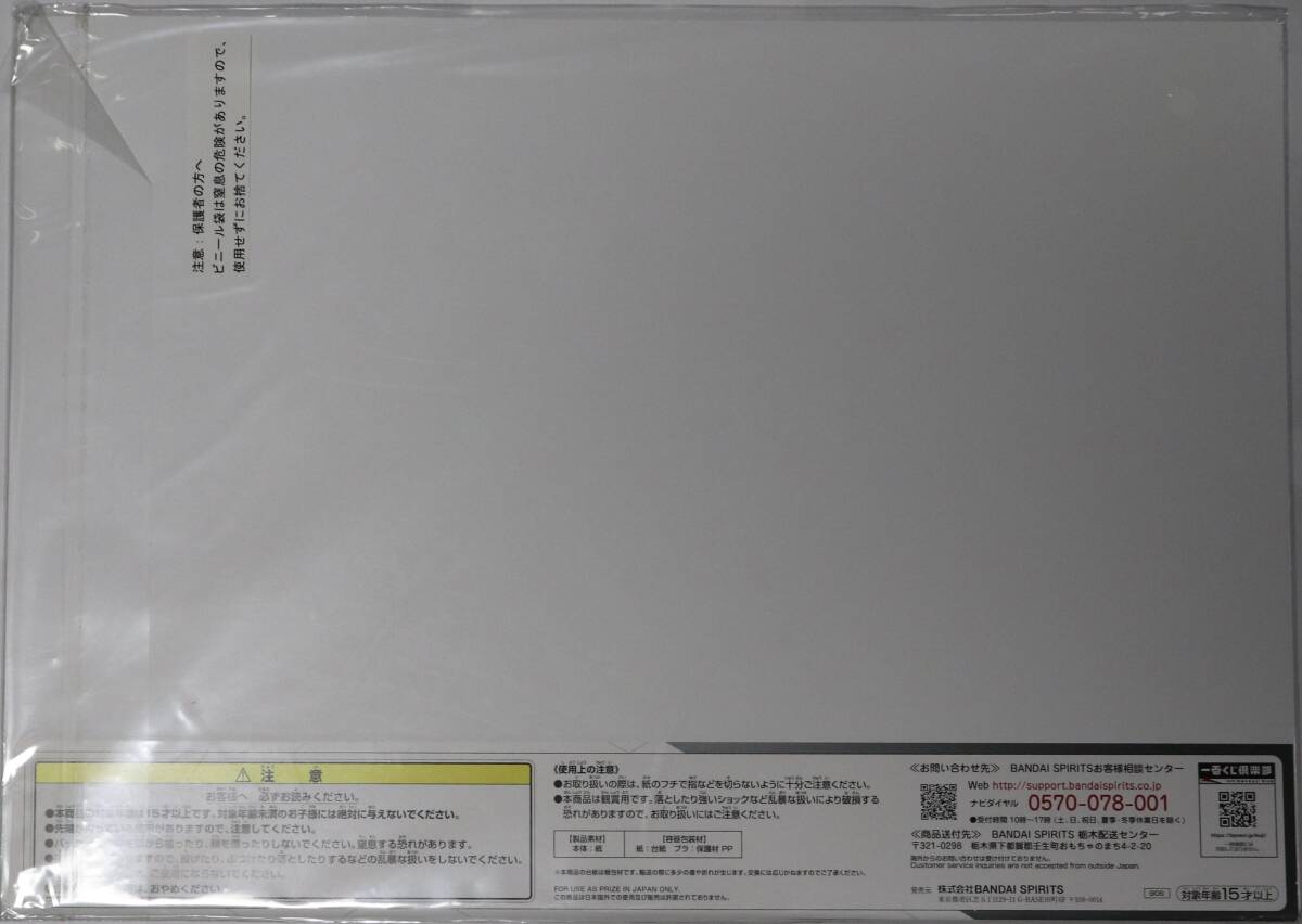 ラスト1点 非売品 乃木坂46 白石麻衣 シークレットハニー カタログ