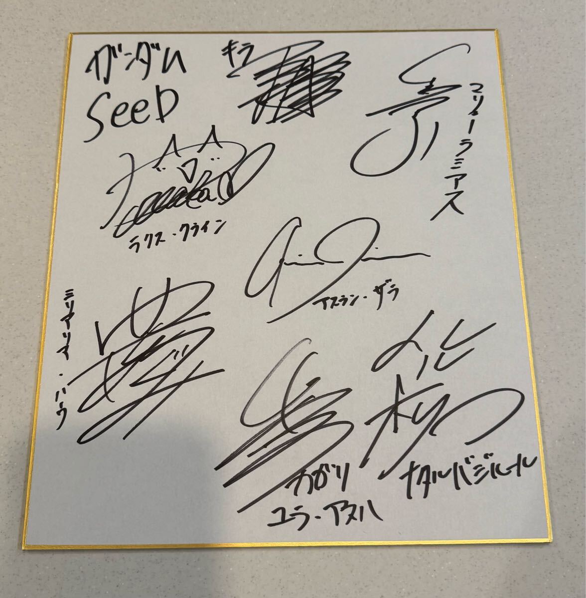 機動戦士ガンダムSEED 声優直筆サイン色紙 豊口めぐみ 保志 機動戦士ガンダムSEED 声優直筆サイン色紙 豊口めぐみ 保志