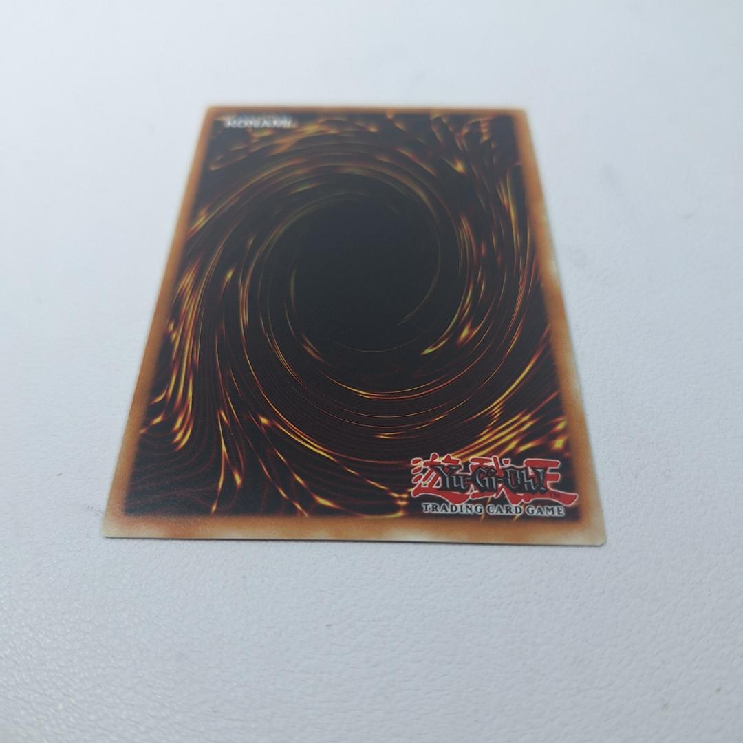 ⭕遊戯王 ハーピィ・レディ・SB シークレットレア RP01-EN096e372