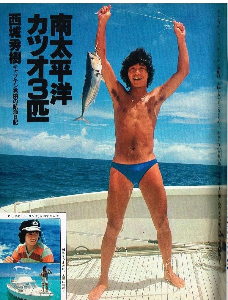 s3749 яркая звезда 1981 год Showa 56 год купальный костюм бикини Kawai Naoko Hidaka Noriko Matsuda Seiko замок дверь подлинный ..... ветка прекрасный Saijo Hideki Mihara последовательность . Matsumoto . плата ....