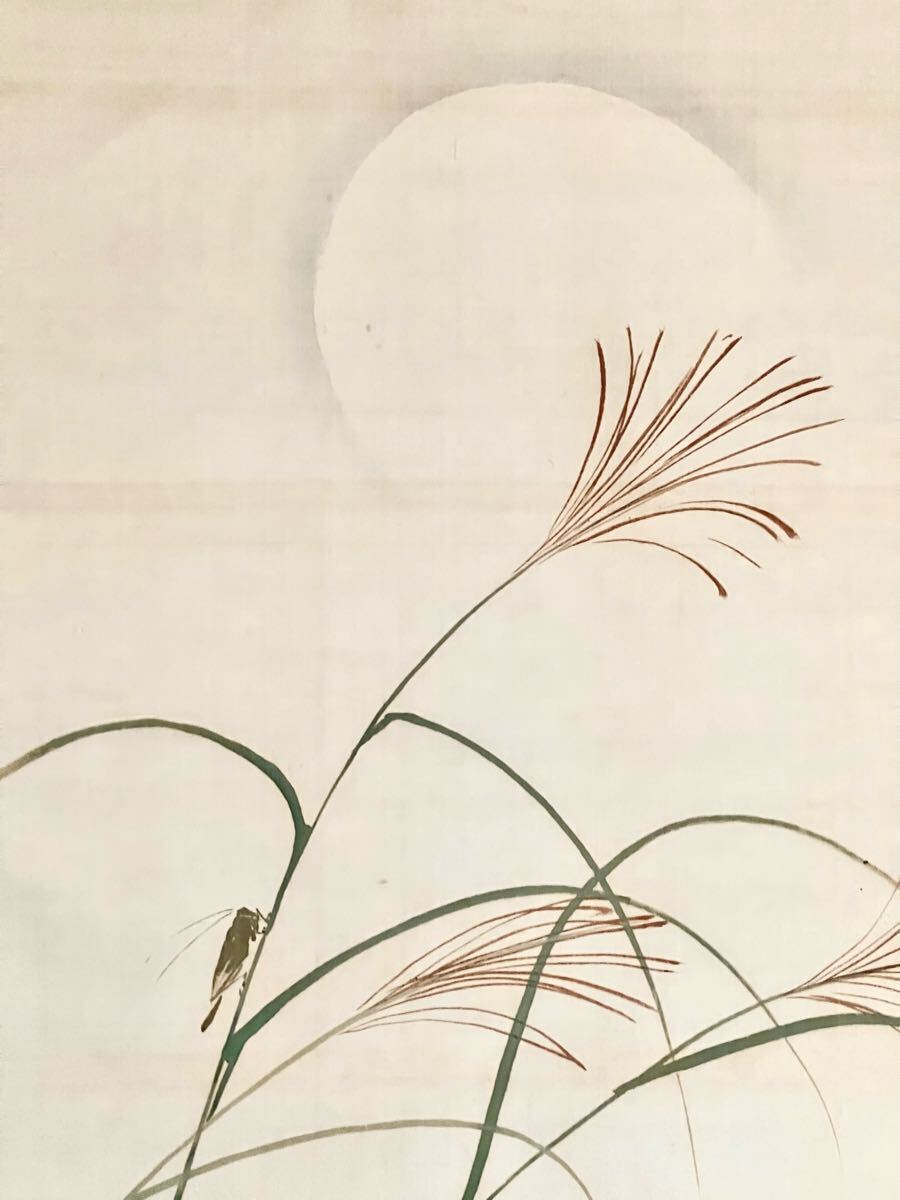 真作】【S8】池上秀畝「明月秋草」絹本 肉筆 共箱 花鳥図 鳥獣 真作】【S8】池上秀畝「明月秋草」絹本 肉筆 共箱 花鳥図 鳥獣