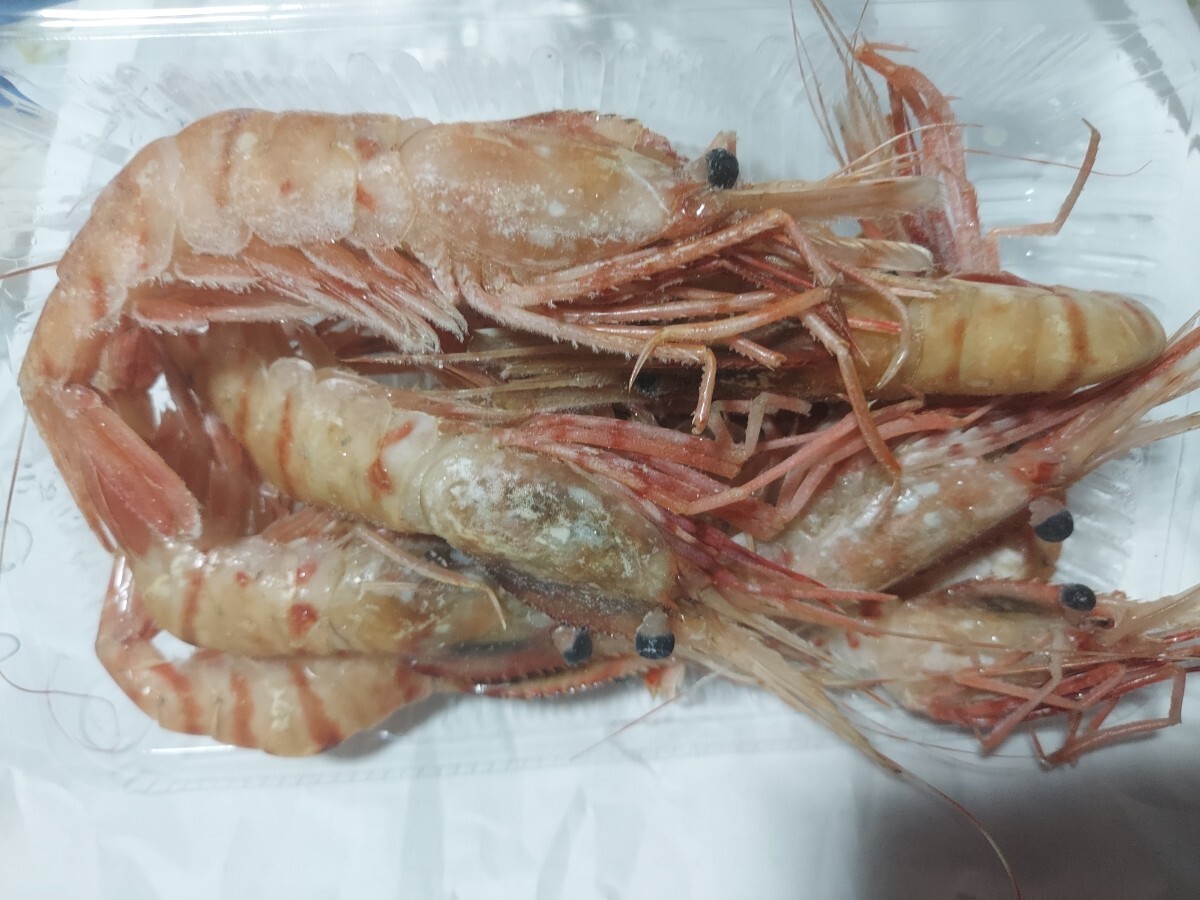 ボタンエビ大24～28g位10本セット1980円即決