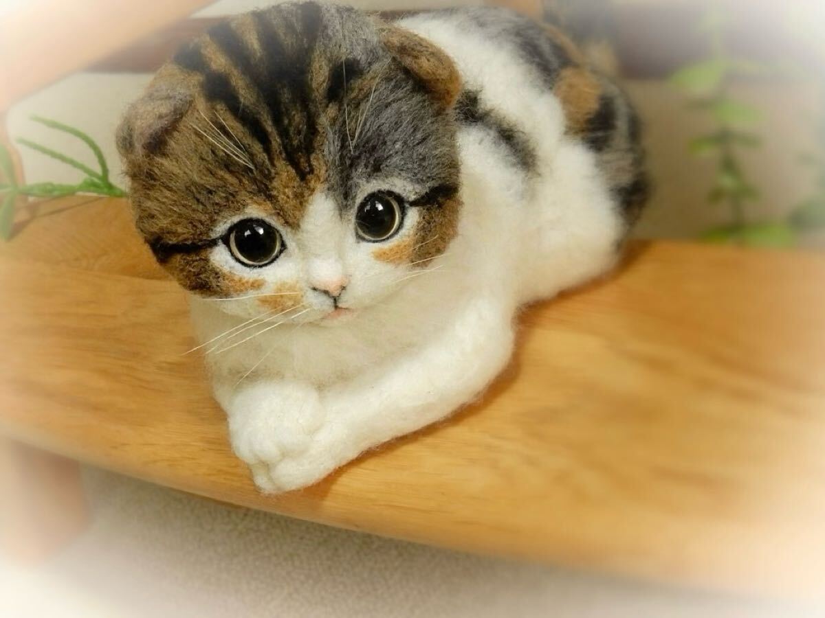 ◇sei◇羊毛フェルト スコティッシュフォールドの子猫(羊毛 ◇sei◇羊毛フェルト スコティッシュフォールドの子猫(羊毛