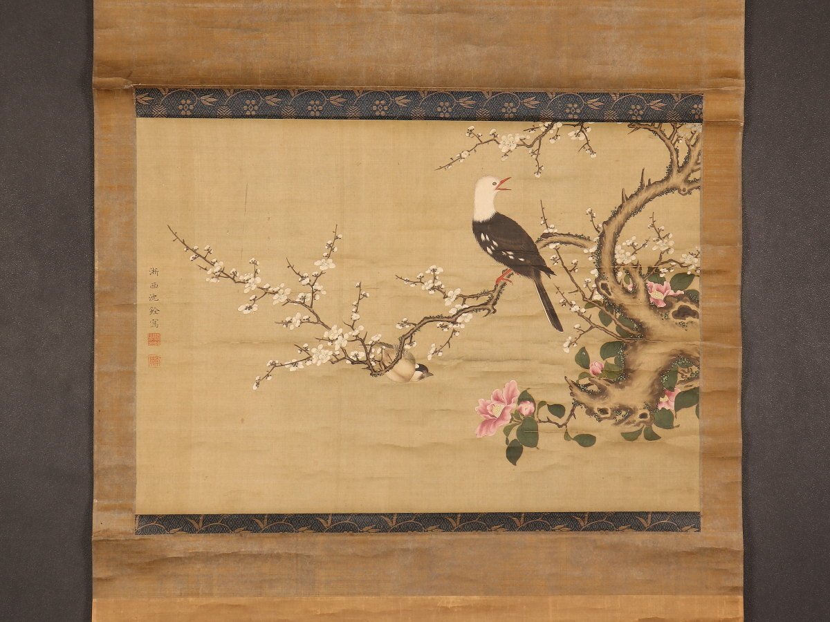 模写】【伝来】am1231〈沈南蘋〉梅花小禽図 春掛 中国画 清代 南 模写】【伝来】am1231〈沈南蘋〉梅花小禽図 春掛 中国画 清代 南