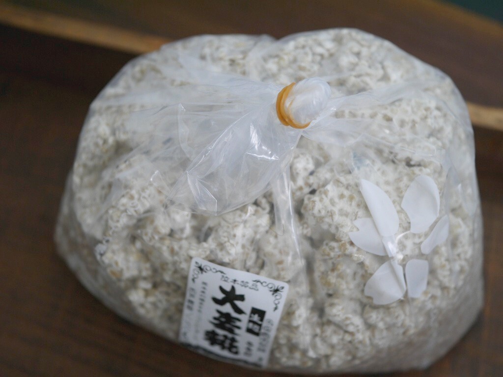 【おたまや】大麦麹 生麹（5kg）