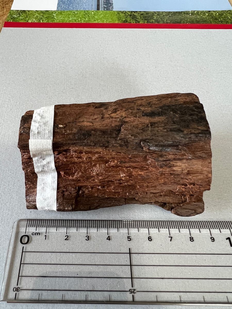 天然沈香樹香木「弥勒沈香」原木111.1g 茶道具 六國五味沈香伽羅 天然沈香樹香木「弥勒沈香」原木111.1g 茶道具 六國五味沈香伽羅