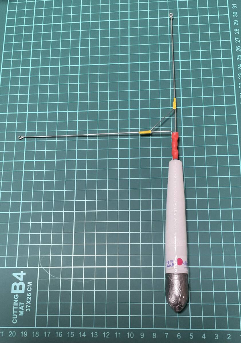 今回出品の同ロットの実寸畫(huà)像1目盛1cm