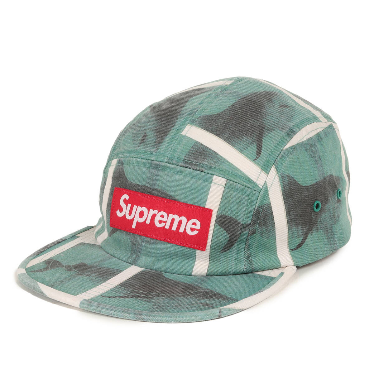 【新品】Supreme シュプリーム キャップ / 25SS Damien Hirst シャーク柄 ボックスロゴ キャンプキャップ (Camp Cap) / グリーン