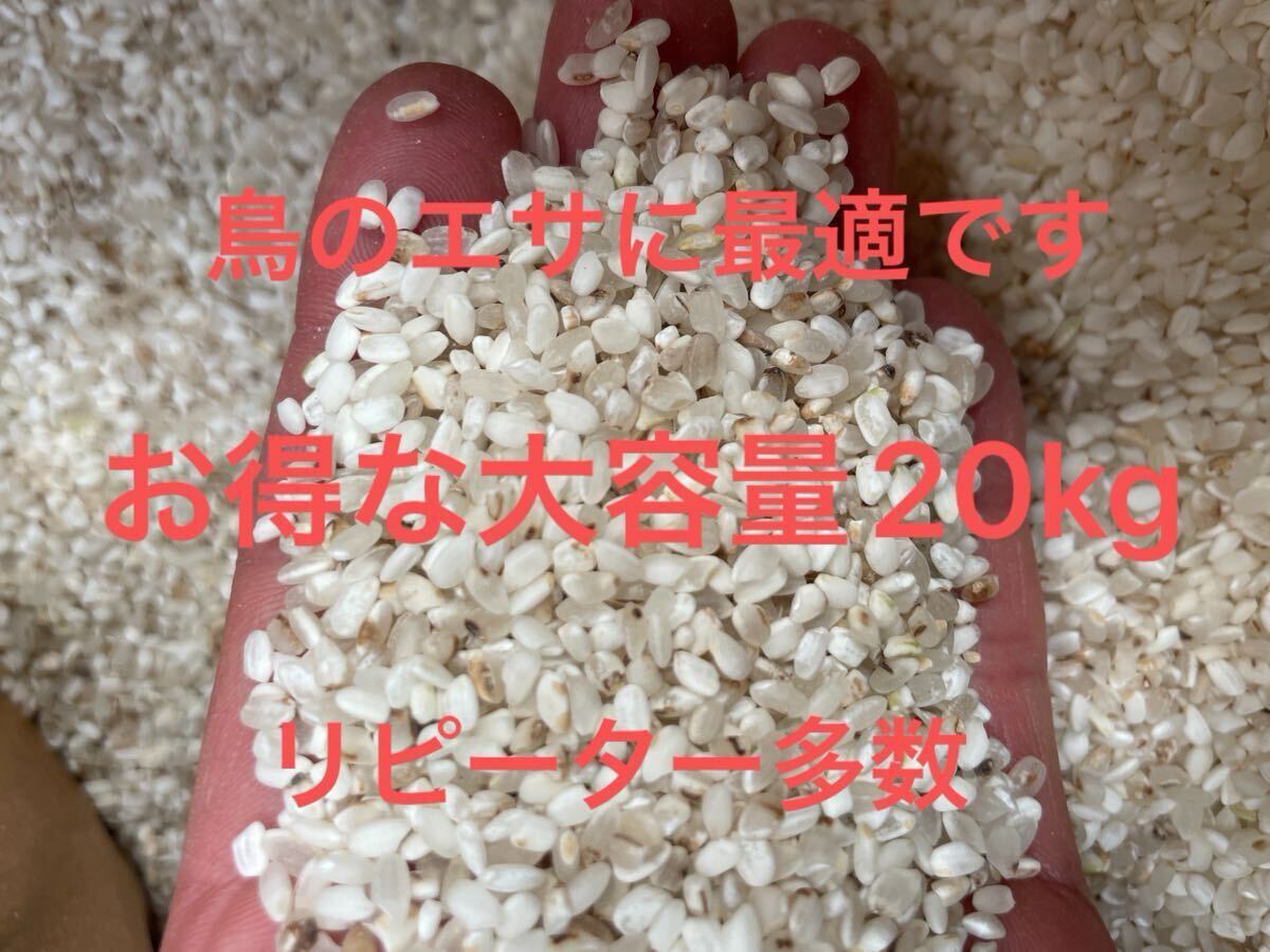 限定 ^_^ 令和6年度産 コシヒカリ くず米 砕米 20kg 鳥エサ用 茶 限定 ^_^ 令和6年度産 コシヒカリ くず米 砕米 20kg 鳥エサ用 茶