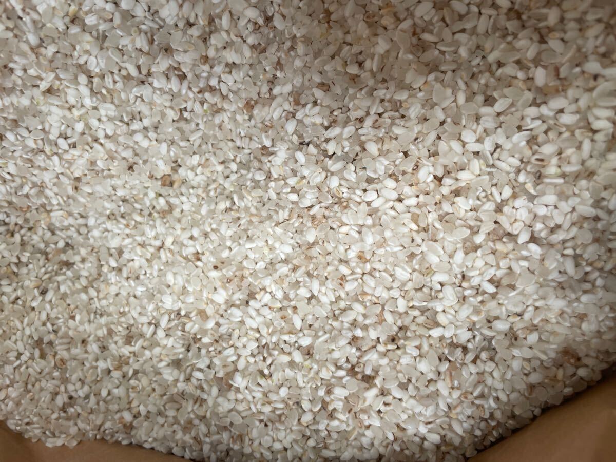 限定 ^_^ 令和6年度産 コシヒカリ くず米 砕米 20kg 鳥エサ用 茶 限定 ^_^ 令和6年度産 コシヒカリ くず米 砕米 20kg 鳥エサ用 茶