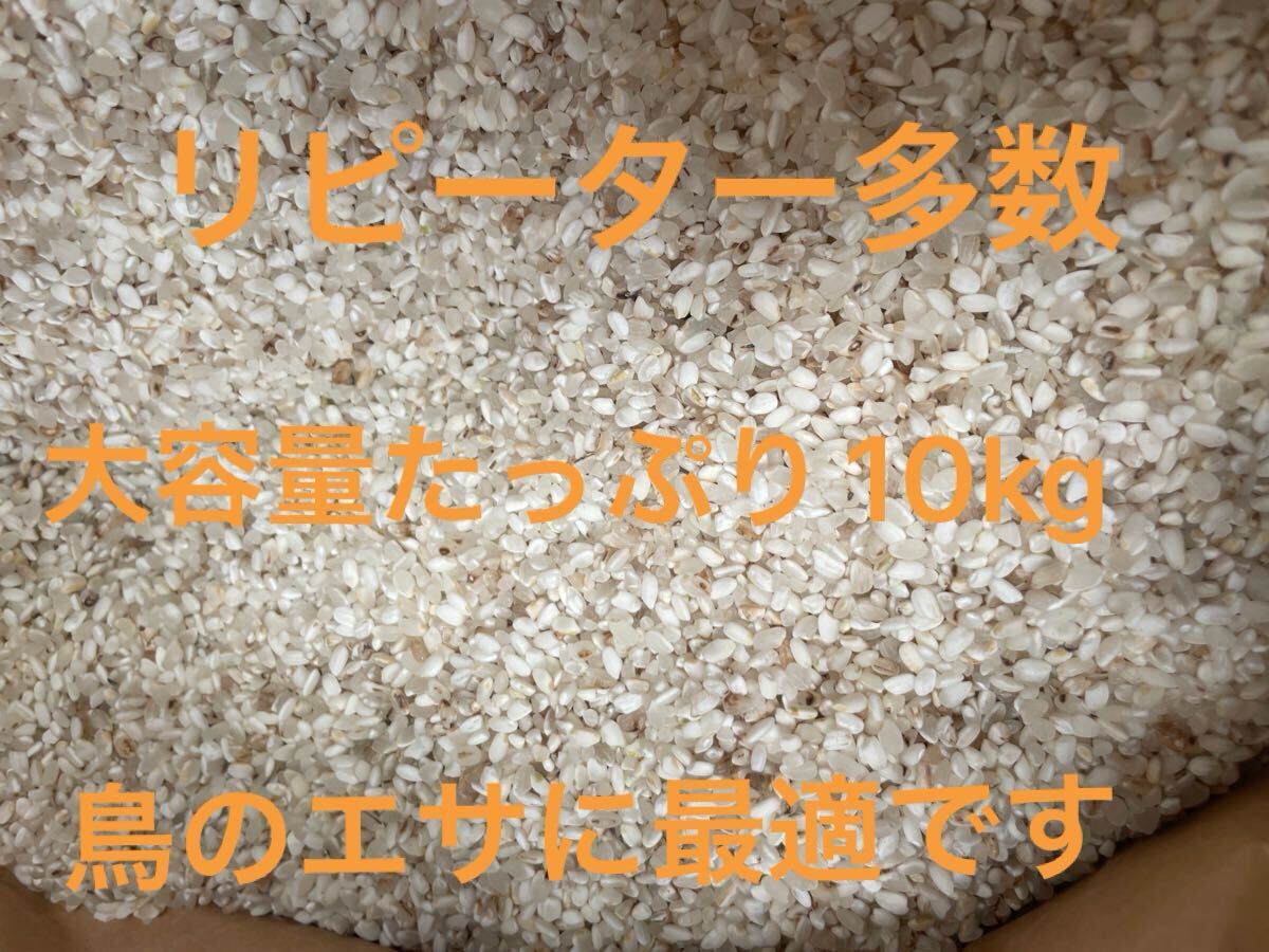 限定 ^_^ 令和6年度産 コシヒカリ くず米 砕米 10kg 鳥エサ用 茶 限定 ^_^ 令和6年度産 コシヒカリ くず米 砕米 10kg 鳥エサ用 茶