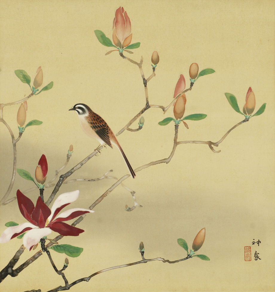 真作】掛軸「徳岡神泉 木蓮」共箱 二重箱 大正昭和 日本画家 真作】掛軸「徳岡神泉 木蓮」共箱 二重箱 大正昭和 日本画家